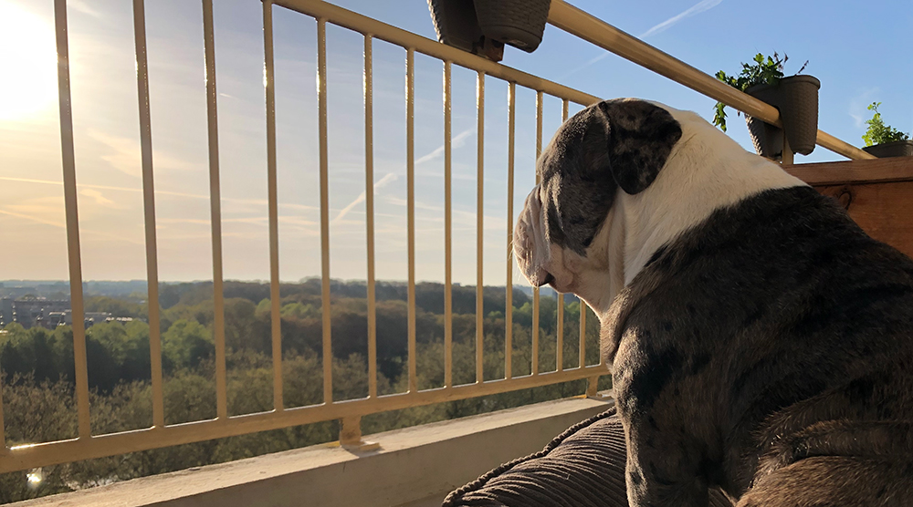 James op het balkon