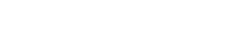 logo amodico wit